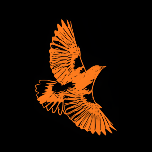 Oriole Cleaning Services